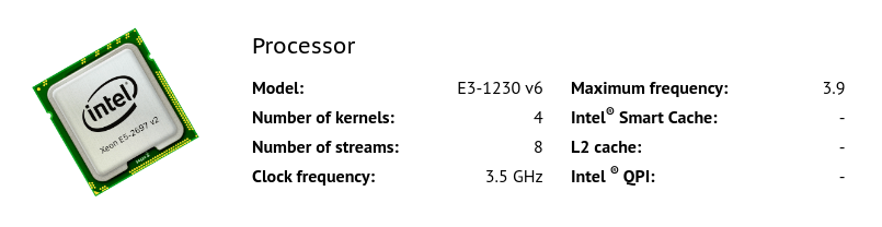 processor hosting