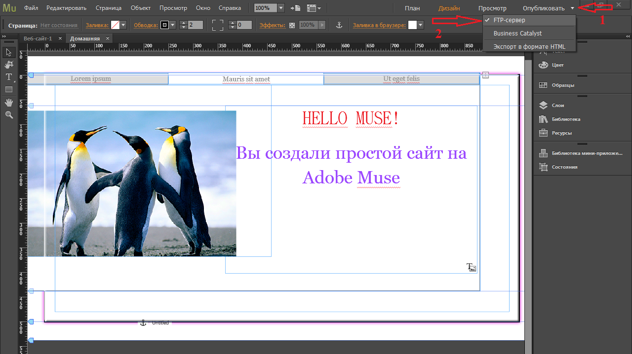 Как опубликовать сайт Adobe Muse – Beget